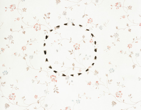 Everyday Objects